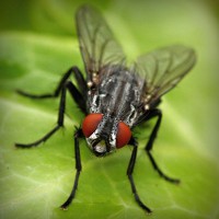 /album/merca-creativa/photolia-a01-jpg/