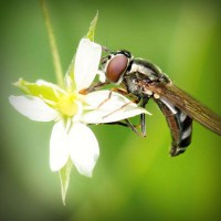 /album/merca-creativa/photolia-a02-jpg/