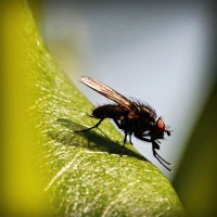 /album/merca-creativa/photolia-a04-jpg/