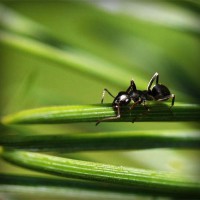 /album/merca-creativa/photolia-a05-jpg/