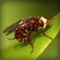 /album/merca-creativa/photolia-a06-jpg/