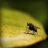 /album/merca-creativa/photolia-a07-jpg/