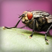 /album/merca-creativa/photolia-a08-jpg/